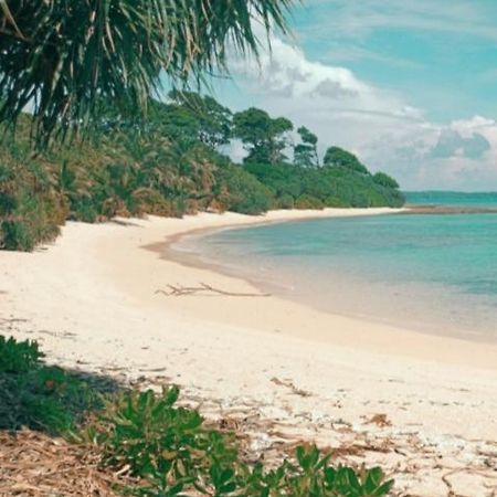 Mallick Palace Neil Island South Andaman Hotell Ram Nagar Exteriör bild