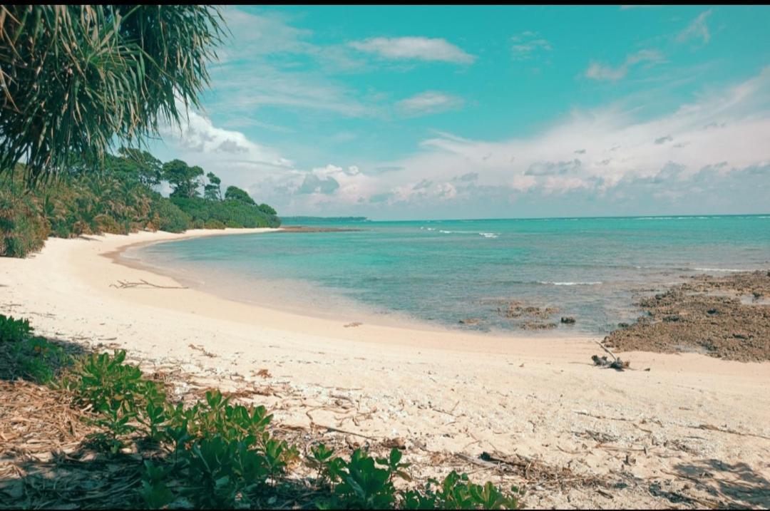 Mallick Palace Neil Island South Andaman Hotell Ram Nagar Exteriör bild