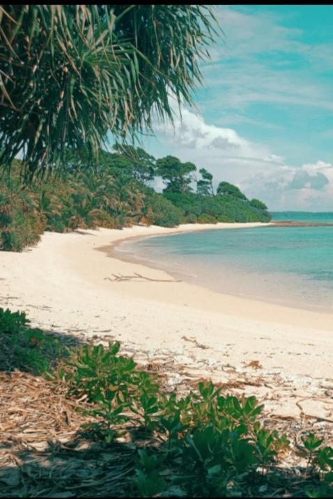 Mallick Palace Neil Island South Andaman Hotell Ram Nagar Exteriör bild