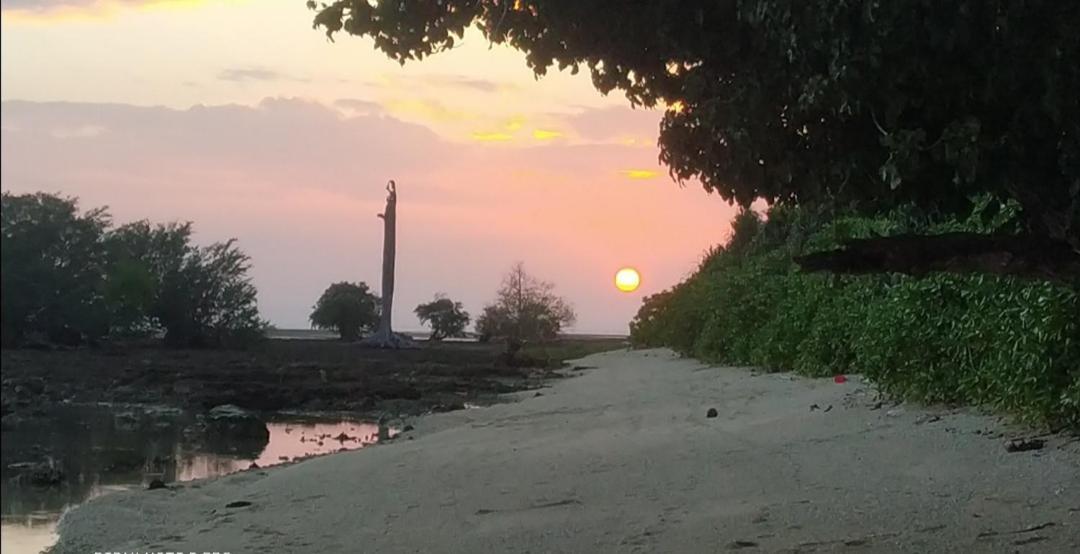 Mallick Palace Neil Island South Andaman Hotell Ram Nagar Exteriör bild