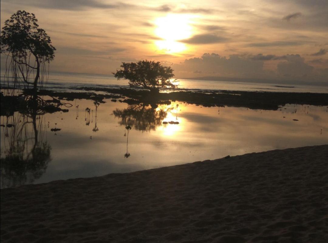 Mallick Palace Neil Island South Andaman Hotell Ram Nagar Exteriör bild